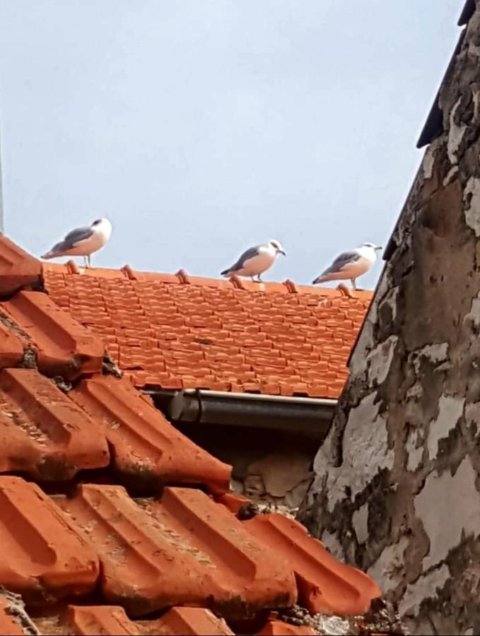 Hvar Heart Heritage Apartment スタリー・グラード エクステリア 写真